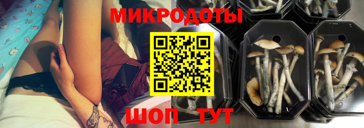 Псилоцибиновые грибы Magic Shrooms Шахты